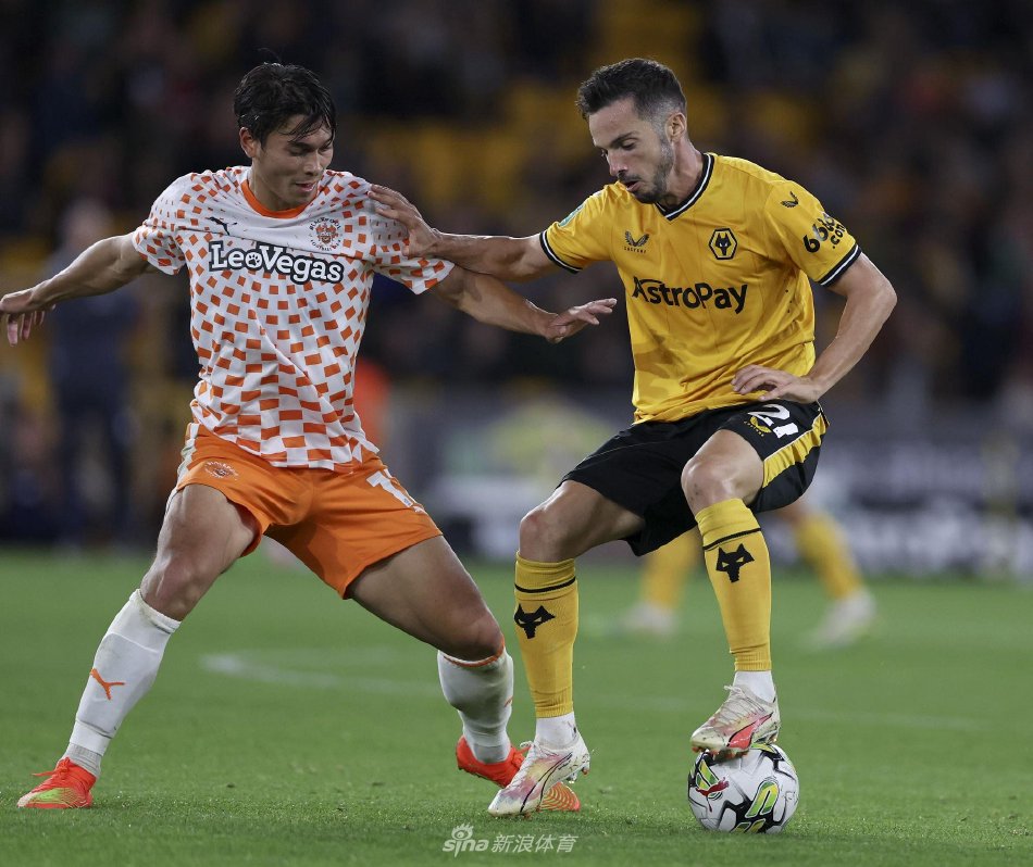 组合正影响 组合正影响