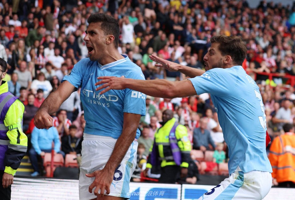 为全球排球 为全球排球